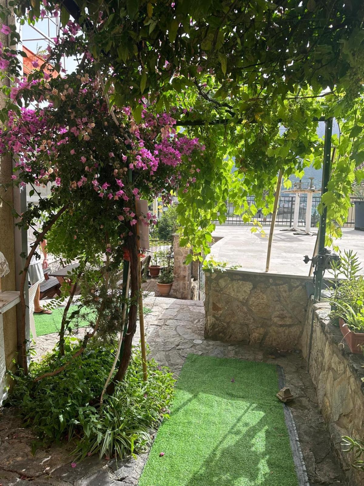 Themis Apart Hotel Котор Екстер'єр фото