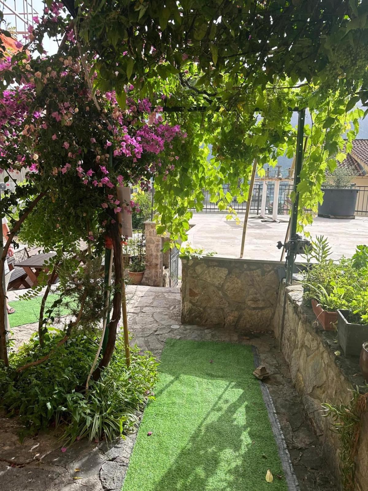 Themis Apart Hotel Котор Екстер'єр фото