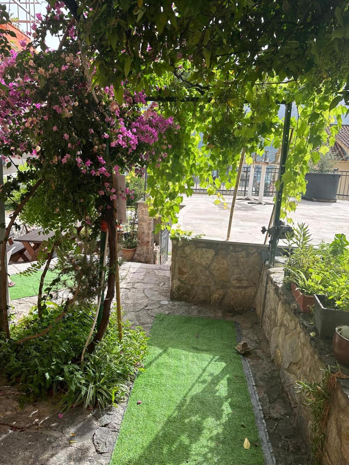 Themis Apart Hotel Котор Екстер'єр фото