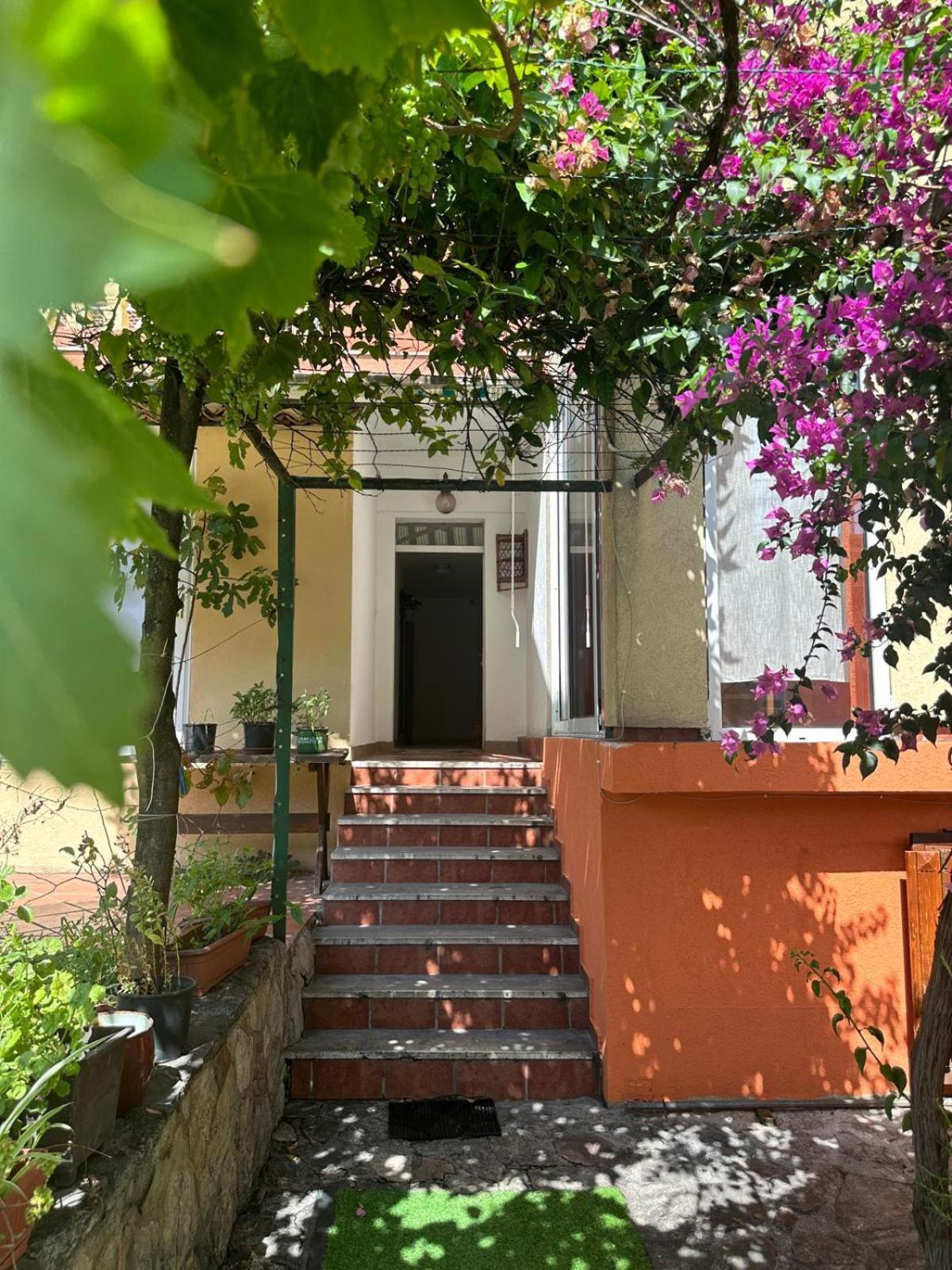 Themis Apart Hotel Котор Екстер'єр фото